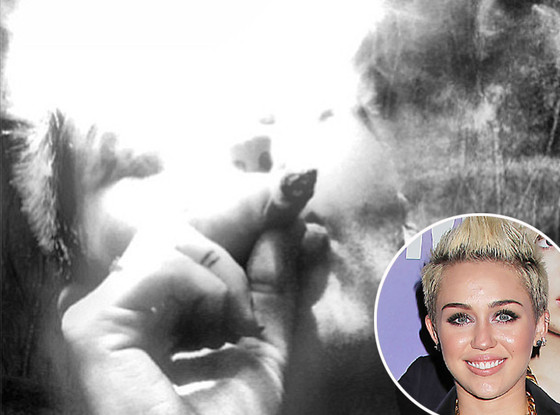 Miley Cyrus, Instagram Miley Cyrus, Instagram